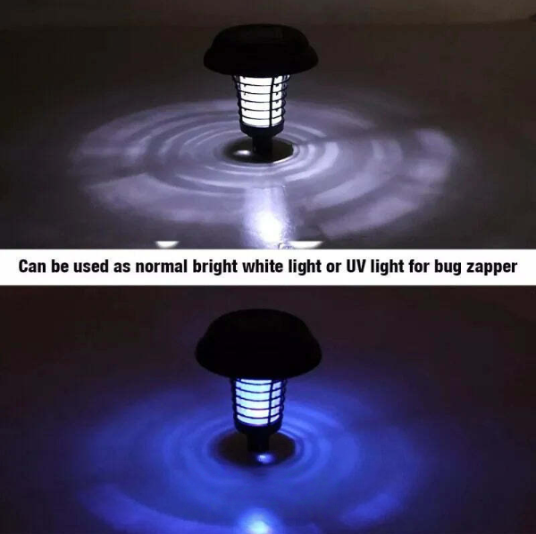 Natural Pest Defense